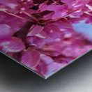 IMG 1670 Metal print