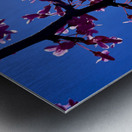 IMG 1556 Metal print