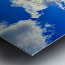 IMG 1755 Metal print