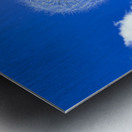 IMG 1759 Metal print