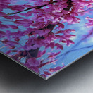 IMG 1617 Metal print