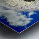 IMG 1743 Impression metal