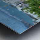 A City Rose Metal print