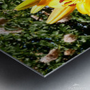 Bursting Beauty 2 Metal print