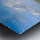 New Orleans from the Sky Metal print