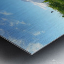 Out of Africa 2 Metal print