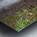 Hiking Hawaii 4 Metal print