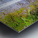 Falling for Colors Impression metal