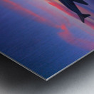 Flying into the Sunset 4 Metal print