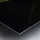 Blooms of Joy Metal print