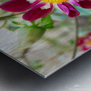 Flower Bloom 5B Metal print