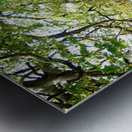 Rooted in Strength Impression metal