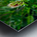 A Beautiful Prick Metal print