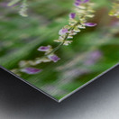 To Bee or Not to Bee -- Small Flower Big Flavor  Impression metal