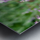 To Bee or Not To Bee--Small Flower Big Flavor 2 Metal print