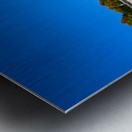 Palace of Versailles -- Gardens 6 Metal print