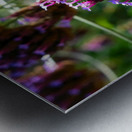 Cluster of Miniature Flowers Metal print