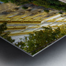 Cafe de Flore Metal print