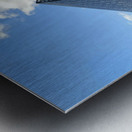 Just Louvre It 2C Metal print