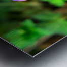 Flower Bloom 8 Metal print