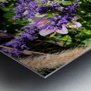 Blushing Petals 2 Metal print