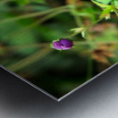 Flower Bloom 8B Metal print