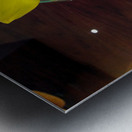 Glass Bloom 2B Metal print