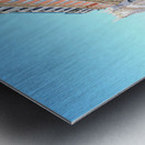 Hotel Avenida Metal print