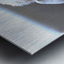 Patient Pooch Finn Metal print