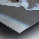 Not Pouting Pooch Metal print