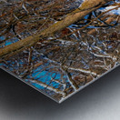 Oh Deer  Metal print