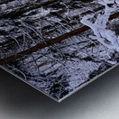 Winterscape Metal print