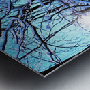 Frozen Limbs 3 Metal print