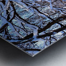 Frozen Limbs 2B Metal print