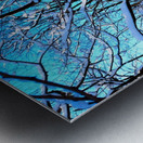 Frozen Limbs 3B Metal print