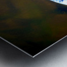 An American Koi Story Impression metal