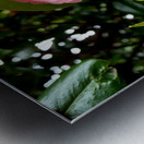 Blooms of Joy 1B Metal print