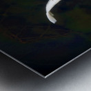 Some Very Coy Koi Impression metal