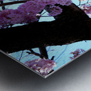 Cherry Blossom  Impression metal
