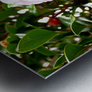 Blooms of Joy 1 Metal print