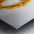 I Got Leid Impression metal