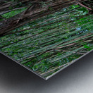 Welcome to the Jungle  Metal print