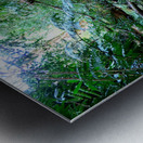 Hiking Hawaii Water Flow Metal print