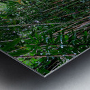 Hiking Hawaii Metal print