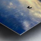 Flying Over the Edgewater Metal print