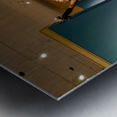 Original Selfie Metal print