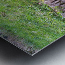 Barbed Stone Wall Metal print