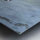 A Black Swan Moment 3 Metal print