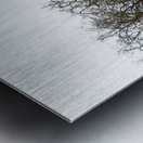 Horsehead Sculpture 3 Metal print