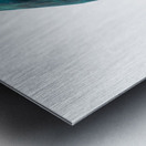 Horsehead Sculpture 2B Metal print